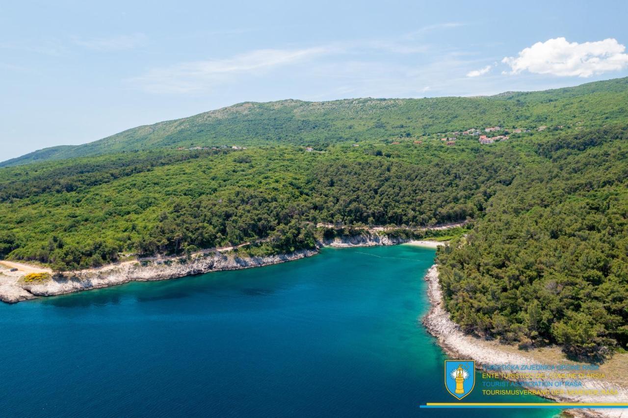 Vilă Amber Yourcroatiaholiday Drenje (Istria)